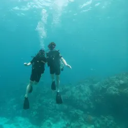 Plongée Bouillante (Diving Center) - Bouillante