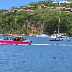 Plongée Bouillante (Diving Center) - Bouillante