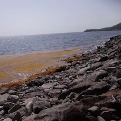 Pointe Noire - Bouillante