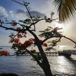 Pointe Noire - Bouillante