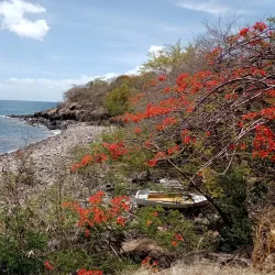 Pointe Noire - Bouillante