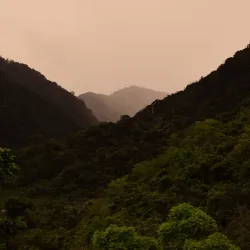 Habitation La Grivelière - Gourbeyre