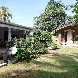 A picturesque scene in Goyave