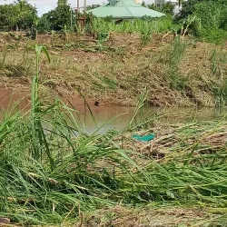 An image showcasing the beauty of Goyave