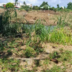 View of the cityscape in Goyave