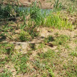 A stunning outdoor scene in Goyave