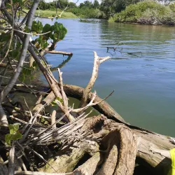 Captivating view of Goyave city