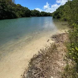 Anse à la Barque Beach - Goyave