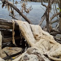 Anse à la Barque Beach - Goyave
