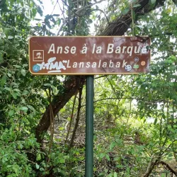 Anse à la Barque Beach - Goyave
