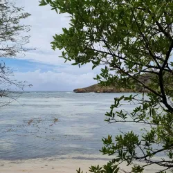 Anse à la Barque Beach - Goyave