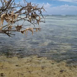 Anse à la Barque Beach - Goyave