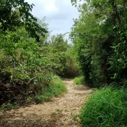 Anse à la Barque Beach - Goyave