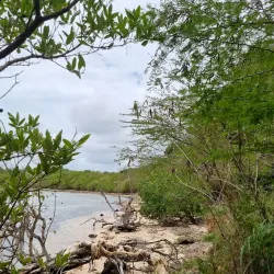 Anse à la Barque Beach - Goyave