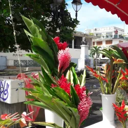 Église Saint-Pierre et Saint-Paul - Goyave