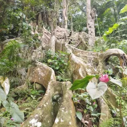 La Maison de la Banane (Banana Museum) - Goyave