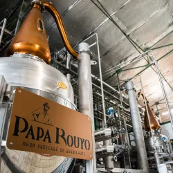 Local Rum Distilleries - Goyave