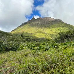 Parc National de la Guadeloupe (nearby) - Goyave
