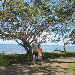 Plage de Viard Mangrove - Goyave