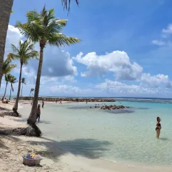 Plage de Viard - Goyave