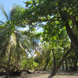Plage de Viard - Goyave