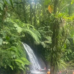 Marché de Le Gosier - Le Gosier