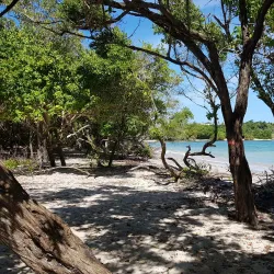 Plage de Saint-Félix - Le Gosier