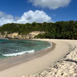 Anse Laborde - Le Moule