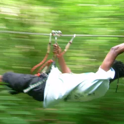 Mangofil Guadeloupe - Le Moule