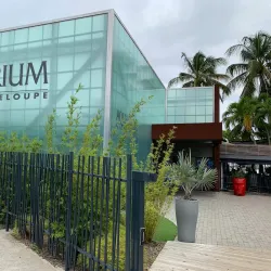 Aquarium de Guadeloupe - Les Abymes