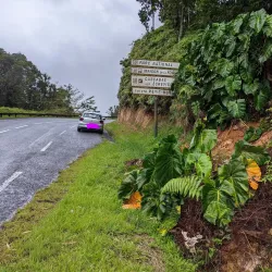La Route de la Traversée - Les Abymes