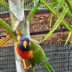 Jardin Botanique de Deshaies - Pointe-à-Pitre