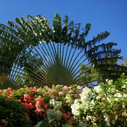 Jardin Botanique de Deshaies - Pointe-à-Pitre