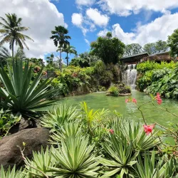 Jardin Botanique de Deshaies - Pointe-à-Pitre