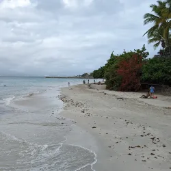 Plage de la Datcha - Pointe-à-Pitre