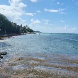 Plage de la Datcha - Pointe-à-Pitre