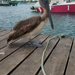 Marina de Saint-François - Saint-Francois