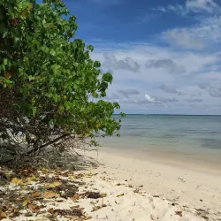 Plage de la Coulée - Saint-Francois