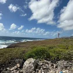 Réserve Naturelle Nationale de Saint-François - Saint-Francois