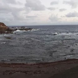 Réserve Naturelle Nationale de Saint-François - Saint-Francois
