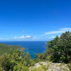 Réserve Naturelle Nationale de Saint-François - Saint-Francois