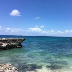 Réserve Naturelle Nationale de Saint-François - Saint-Francois