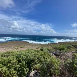 Réserve Naturelle Nationale de Saint-François - Saint-Francois