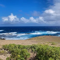 Réserve Naturelle Nationale de Saint-François - Saint-Francois