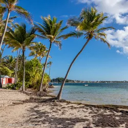 Plage de la Caravelle - Sainte-Anne