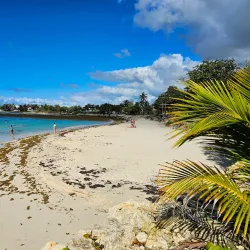 Plage de Raisins Clairs - Sainte-Anne