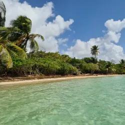 Plage du Bois Jolan - Sainte-Anne