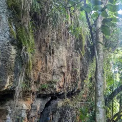 Mount Lamlam - Agana Heights