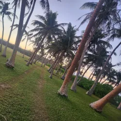 Asan Beach - Asan-Maina