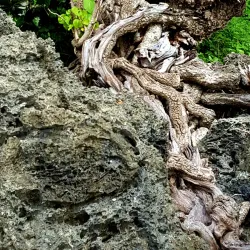 Asan-Maina Community Center - Asan-Maina